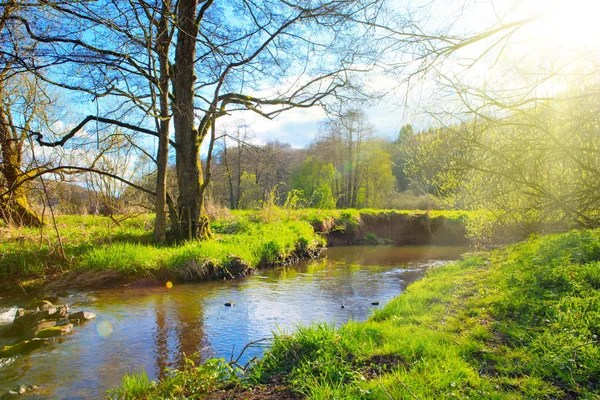 Spring landscape with river and sunshine. — Stock Photo, Image