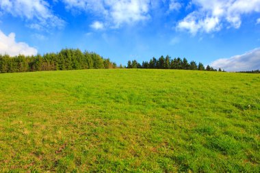 Yeşil çim alan manzara ve mavi gökyüzü.