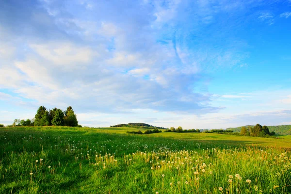 Árboles verdes en el campo de flores y nubes . — Foto de Stock