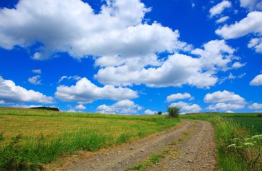 Yeşil çim ve mavi gökyüzü bulutlu olan alan yol.