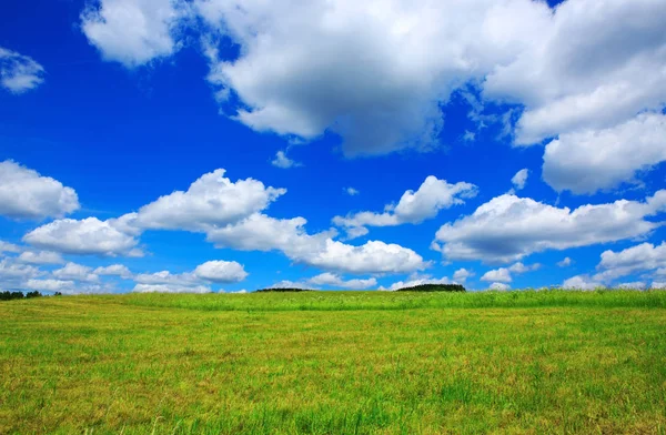 Field with green grass and blue sky with clouds. Royalty Free Stock Photos