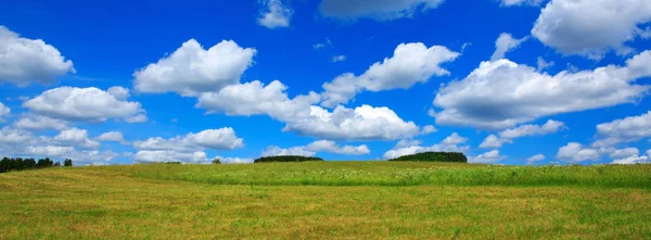 Veld met groen gras en een blauwe hemel met wolken. — Stockfoto