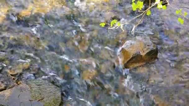 Pietre di fiume su sfondo acqua trasparente . — Video Stock