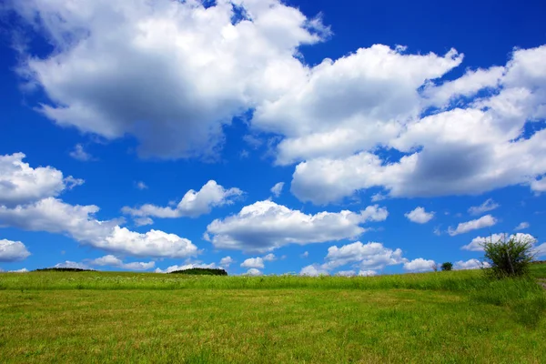 Blue sky with clouds and green field. Royalty Free Stock Photos