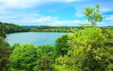 Yaz su yatay, ağaçlar.