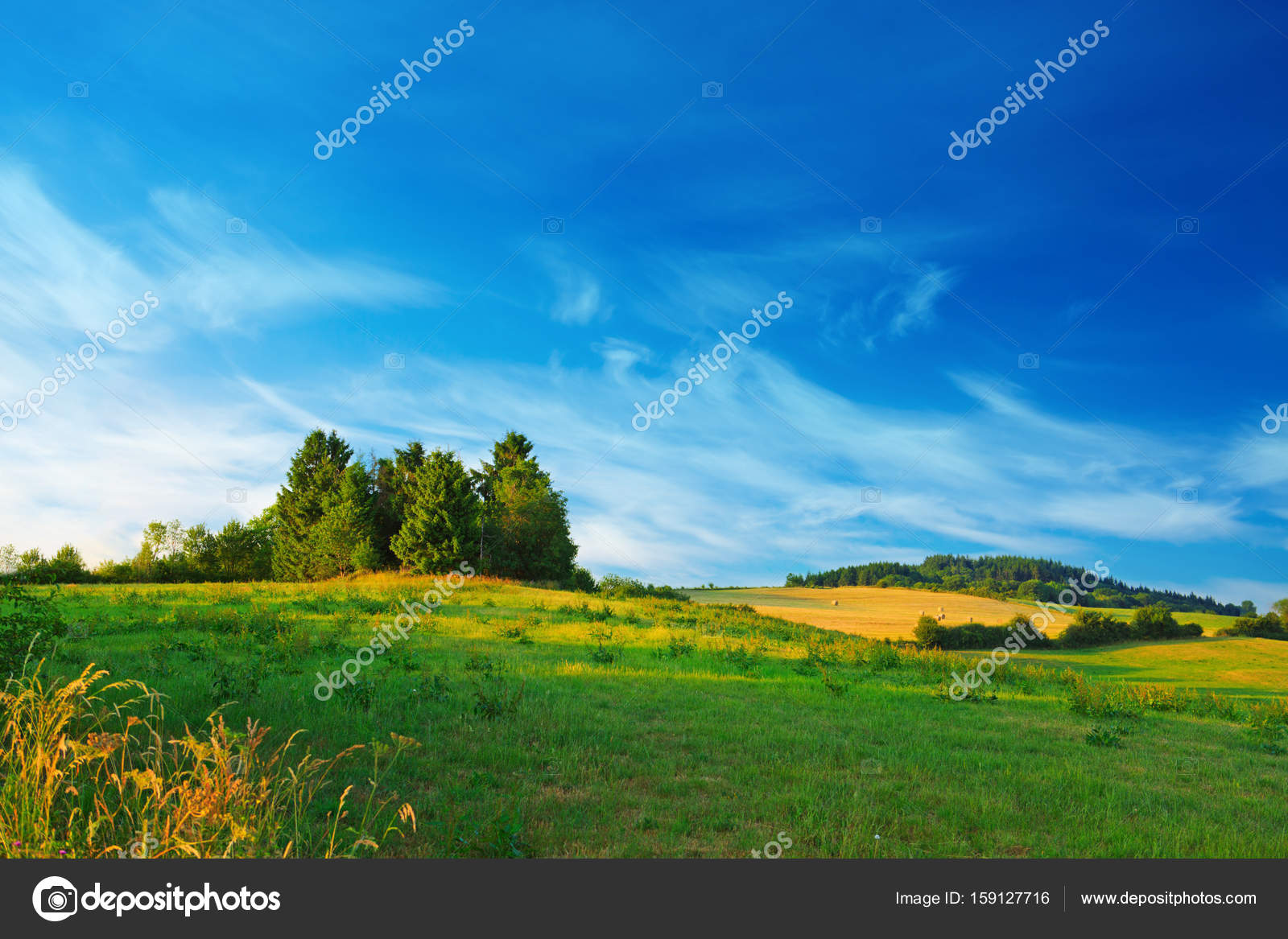 Árboles verdes en el campo y nubes . — Foto de stock #159127716 © swkunst, image size:1600x1167