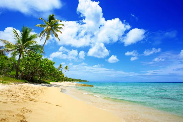 Karibiska havet och vit sandstrand. — Stockfoto