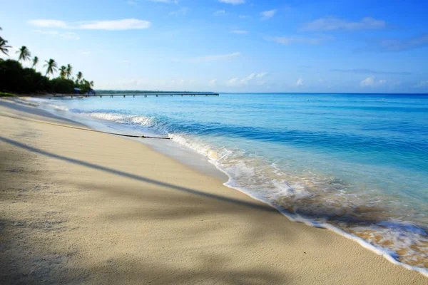 Karibiska havet och palm tree siluett. — Stockfoto