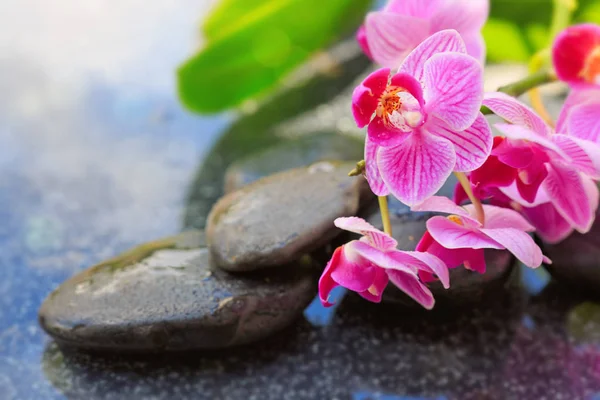 Pedras de spa pretas e orquídeas rosa. Fundo de bem-estar . — Fotografia de Stock