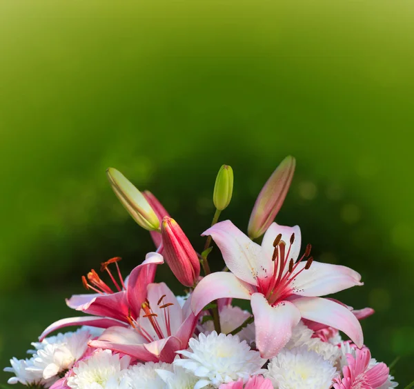 Colorful lily bouquet isolated. — Stock Photo, Image