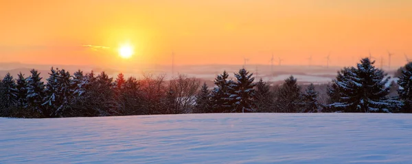 Paysage hivernal au coucher du soleil avec les arbres forestiers givrés et les rayons du soleil . — Photo