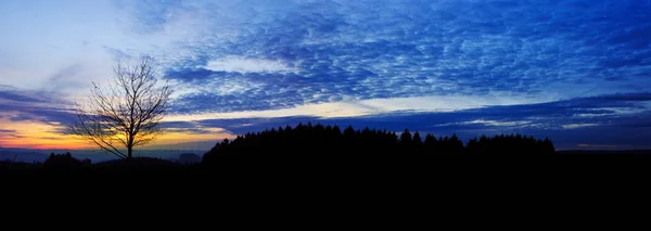 Zonsondergang onder de boom. — Stockfoto