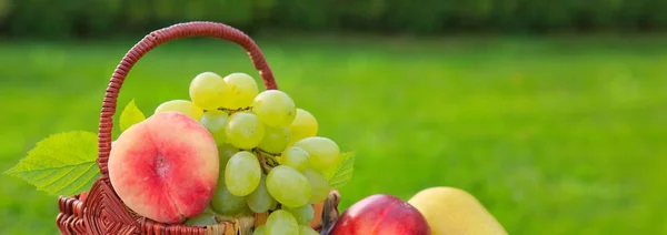 Cesta de frutas isolada no fundo verde . — Fotografia de Stock