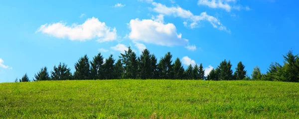 Champ avec herbe verte et ciel . — Photo