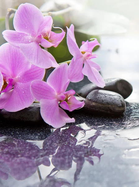 Фон спа с розовой орхидеей и камнем . — стоковое фото
