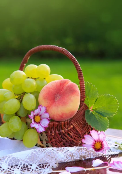 Fruit basket isolated on green background. — Stock Photo, Image
