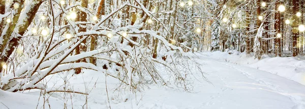 Fond d'hiver avec des arbres enneigés. — Photo