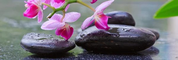 Μαύρο spa πέτρες και ροζ ορχιδέα λουλούδια . — Φωτογραφία Αρχείου