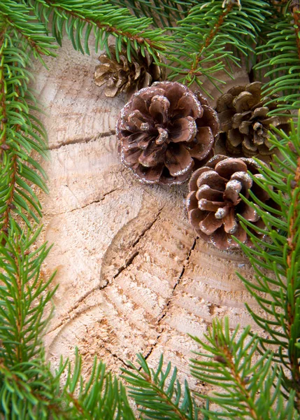 Noel çerçeve çam kozalakları ve yeşil dallar ile dekore edilmiş. — Stok fotoğraf