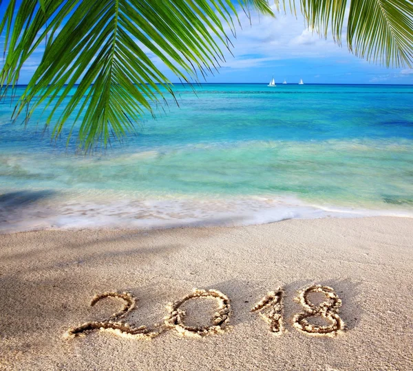 Año Nuevo 2018 Inscripción escrita y mar Caribe con palma verde  . — Foto de Stock