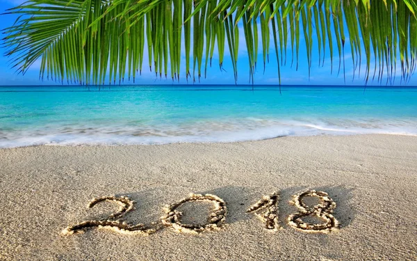 Año Nuevo 2018 Inscripción escrita y mar Caribe con palma verde  . — Foto de Stock