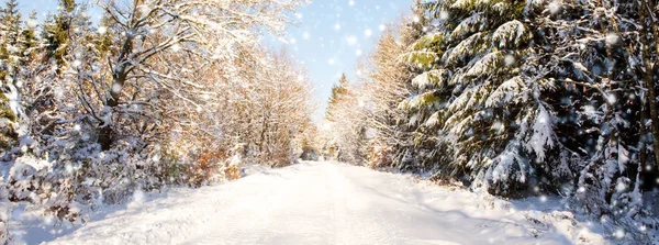 Fondo de Navidad con árboles cubiertos de nieve . —  Fotos de Stock