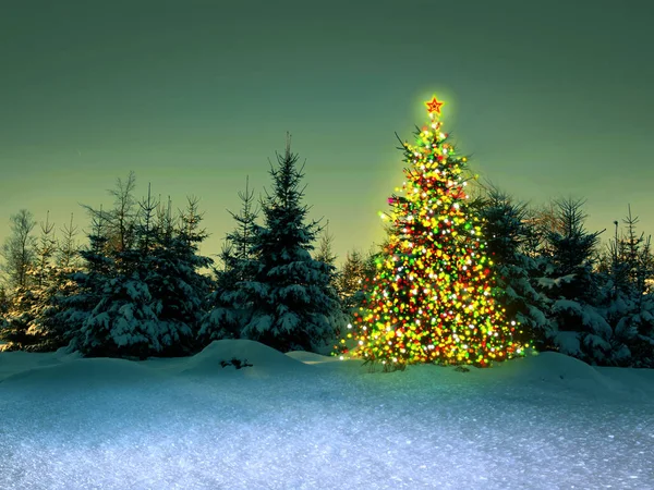 Kış ormanda Noel ağacı.