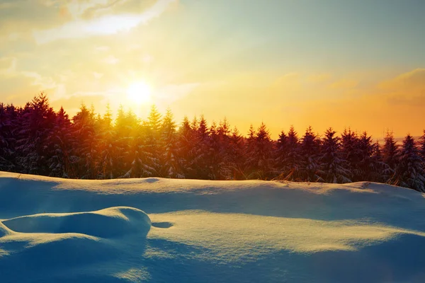 Coucher de soleil dans la forêt d'hiver. — Photo