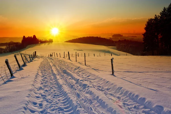 Paysage hivernal coucher de soleil avec arbres et route des champs . — Photo