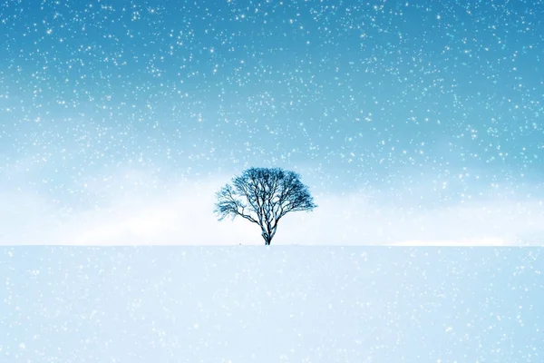 Paesaggio invernale con alberi e nevicate . — Foto Stock