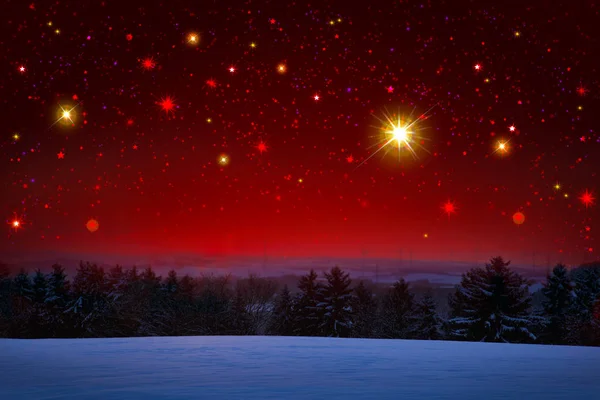 Christmas sky and winter fir trees. — Stock Photo, Image