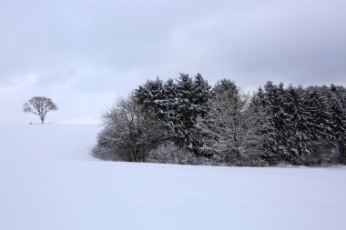 Ağaçlı kış manzarası.
