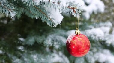 Kırmızı Noel top köknar dalı karla kaplı. Noel arka plan.