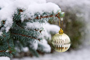 Bir firavun ağacının dalında asılı Noel Balosu. Noel Arkaplanı.