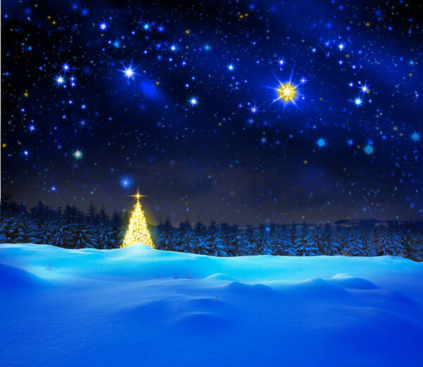 Golden Christmas tree and star sky.
