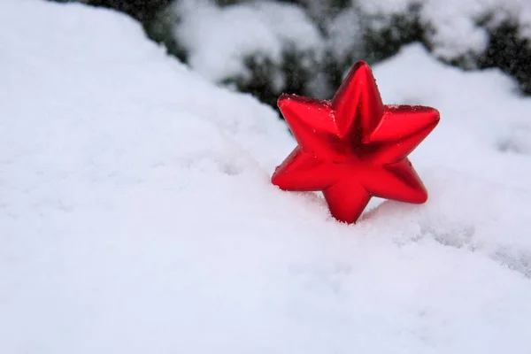 Snowy fir branches with christmas red star. — Stock Photo, Image