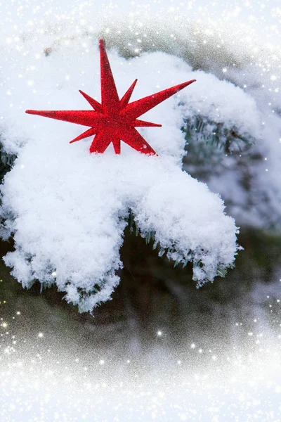 Κόκκινο Χριστουγεννιάτικο αστέρι, πάνω από το χιόνι. — Φωτογραφία Αρχείου