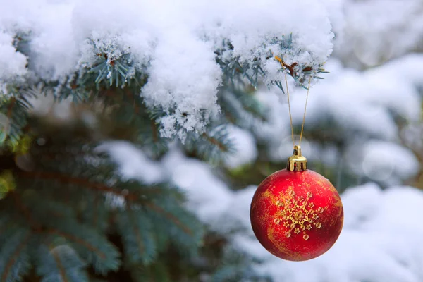 Κόκκινη Χριστουγεννιάτικη μπάλα κρέμεται σε ένα κλαδί Fir Tree. Χριστουγεννιάτικο φόντο. — Φωτογραφία Αρχείου