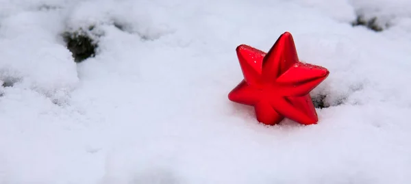 Rode Kerstster op witte sneeuw. — Stockfoto