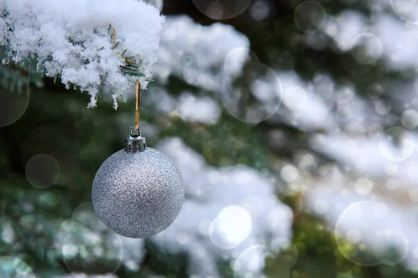 Bola de Navidad colgando de una rama de abeto. Fondo de Navidad. — Foto de Stock