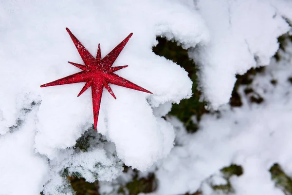 Roter Weihnachtsstern über Schnee. — Stockfoto