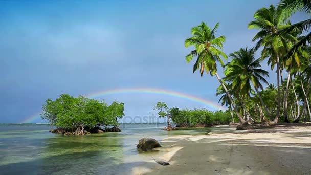 Kleurrijke regenboog over Caribische zee en de groene palmbomen. Reizen-achtergrond. — Stockvideo