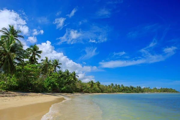 棕榈海滩在加勒比海. — 图库照片