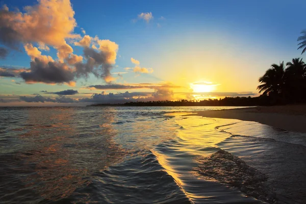 Nascer do sol tropical com coqueiros . — Fotografia de Stock