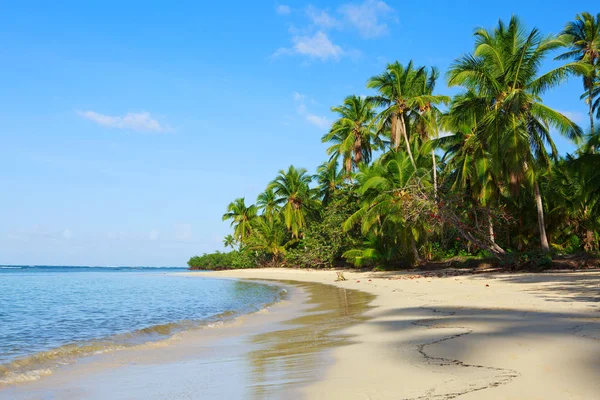 Palmy na białym tropikalnej plaży. — Zdjęcie stockowe