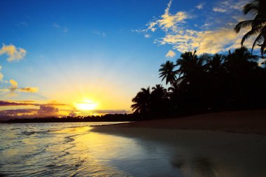 Hindistan cevizi hurma ağaçları ile tropik gündoğumu.