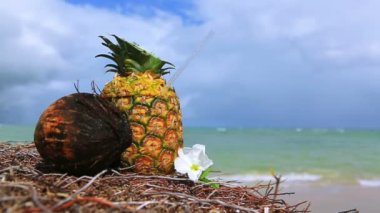 Tropikal ananas kokteyli içki Karayip sahilde.
