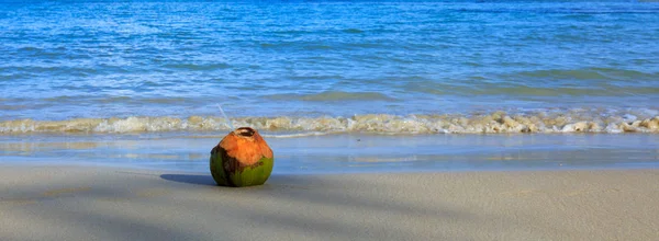 Cocktail en noix de coco sur la plage des Caraïbes . — Photo