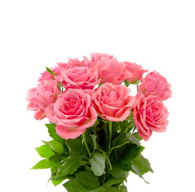 izole pembe gül buketi.