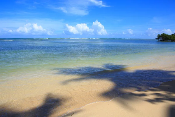 Mer tropicale et ciel bleu . — Photo